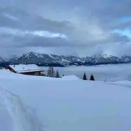 In Out Swiss Alps Charelle By Jolidi ננדה